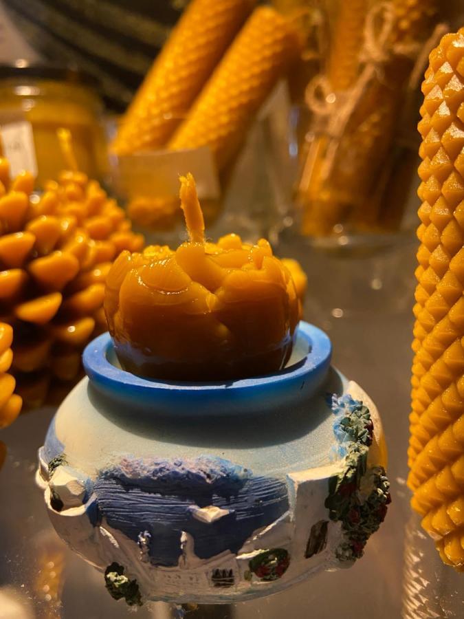 Agroturystyka Sarni Stok كرينيتسا زدروي المظهر الخارجي الصورة